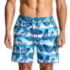 Feuilles tropicales et shorts de plage à séchage rapide rayés pour hommes
